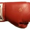 Iconsofboxing.com Gerald McClellan Autographed Red Everlast Boxing Glove WBO Champ