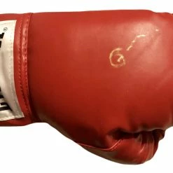 Iconsofboxing.com Gerald McClellan Autographed Red Everlast Boxing Glove WBO Champ