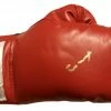 Iconsofboxing.com Gerald McClellan Autographed Red Everlast Boxing Glove WBO Champ