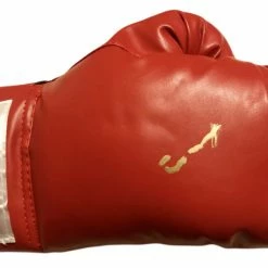 Iconsofboxing.com Gerald McClellan Autographed Red Everlast Boxing Glove WBO Champ