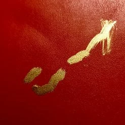 Iconsofboxing.com Gerald McClellan Autographed Red Everlast Boxing Glove WBO Champ