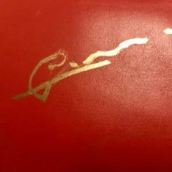 Iconsofboxing.com Gerald McClellan Autographed Red Everlast Boxing Glove WBO Champ BOXING MEMORABILIA