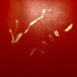 Iconsofboxing.com Gerald McClellan Autographed Red Everlast Boxing Glove WBO Champ BOXING MEMORABILIA