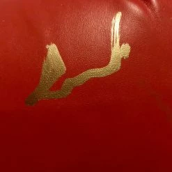 Iconsofboxing.com BOXING MEMORABILIA Gerald McClellan Autographed Red Everlast Boxing Glove WBO Champ