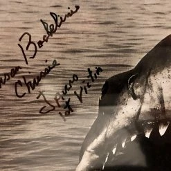 Iconsofboxing.com JAWS 1st Victim Autographed 8x10 Photo With Steven Speilberg In Shark JAWS BOXING MEMORABILIA