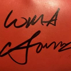 Iconsofboxing.com Vasyl Lomachenko Full Autographed Everlast Red Boxing Glove In Black Signature TOP FIGHTERS