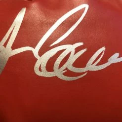 Iconsofboxing.com Gerry Cooney Signed Autographed Red Everlast Boxing Glove