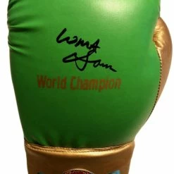 Iconsofboxing.com Vasyl Lomachenko Full Autographed Custom Green Boxing Glove In Black Signature TOP FIGHTERS