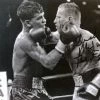Iconsofboxing.com Micky Ward Autographed Signed Boxing Photo - 8x10 BOXING MEMORABILIA