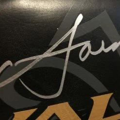 Iconsofboxing.com TOP FIGHTERS Vasyl Lomachenko Rare Autographed Rival Black Boxing Glove In Silver Signature