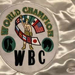 Iconsofboxing.com Julio Cesar Chavez Sr. Signed Autographed Mexican Flag Boxing Glove BOXING MEMORABILIA
