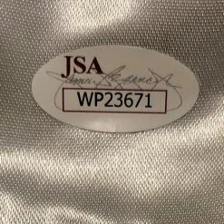 Iconsofboxing.com Julio Cesar Chavez Sr. Signed Autographed Mexican Flag Boxing Glove BOXING MEMORABILIA