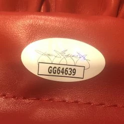 Iconsofboxing.com TOP FIGHTERS Deontay Wilder Red Everlast Autographed Boxing Glove In Silver Marker. JSA