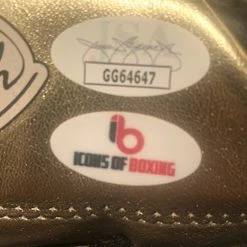 Iconsofboxing.com BOXING MEMORABILIA Gennady Golovkin Autographed Reyes Gold Boxing Glove In Black Signature