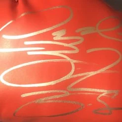 Iconsofboxing.com TOP FIGHTERS Deontay Wilder Red Everlast Autographed Boxing Glove In Silver Marker. JSA