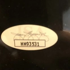 Iconsofboxing.com Gerald McClellan Autographed Signed 16x20 Boxing Photo JSA CERT