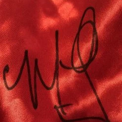 Iconsofboxing.com Miguel Cotto Signed Puerto Rico Custom Made Boxing Trunks, JSA