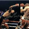 Iconsofboxing.com Jaime Munguia Signed Autographed Boxing Photo 11x14