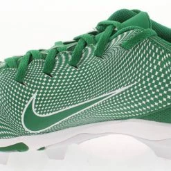 Iconsofboxing.com BOXING MEMORABILIA Davante Adams Green Bay Packers Signed Nike Fast Flex Football Cleat - JSA COA