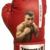 Iconsofboxing.com Vasyl Lomachenko New Rare Autographed Everlast Red Boxing Glove In Black Signature JSA