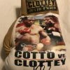 Iconsofboxing.com Cotto Vs Clottey Autographed And Silk Screen Custom Boxing Glove