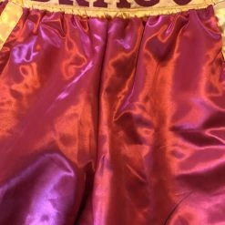 Iconsofboxing.com BOXING MEMORABILIA Dolph Lundgren Red And Yellow Drago Hand Made Boxing Trunks Signed