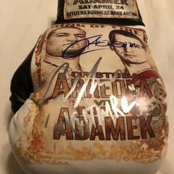 Iconsofboxing.com Arreola Vs Adamek Dual Autographed And Silk Screen Custom Boxing Glove