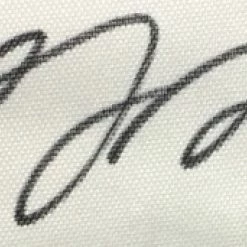 Iconsofboxing.com BOXING MEMORABILIA Davante Adams Green Bay Packers Signed Jersey - JSA COA