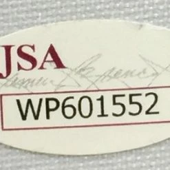 Iconsofboxing.com BOXING MEMORABILIA Davante Adams Green Bay Packers Signed Jersey - JSA COA