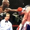 Iconsofboxing.com Antonio Tarver Signed Authentic Autographed 8x10 Photo Hand Signed COA TOP FIGHTERS