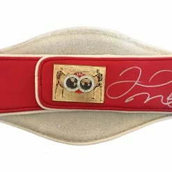 Iconsofboxing.com Floyd Mayweather Jr. Autographed IBF Full Size Championship Boxing Belt Silver Signature