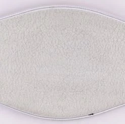 Iconsofboxing.com Floyd Mayweather Jr. Signed IBF Heavyweight Championship Belt (Beckett COA)