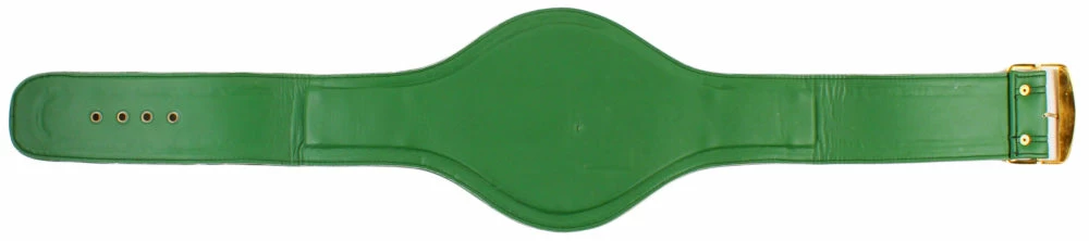 Iconsofboxing.com Floyd Mayweather Jr. Signed Full-Size WBC Championship Belt (Beckett COA)