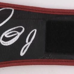 Iconsofboxing.com Floyd Mayweather Jr. Silver Signed In Full-Size WBA Championship Belt (Beckett COA)