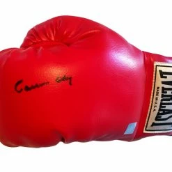 Iconsofboxing.com Cassius Clay Hand-signed Autographed Everlasy Boxing Glove SSG Cert. BOXING MEMORABILIA