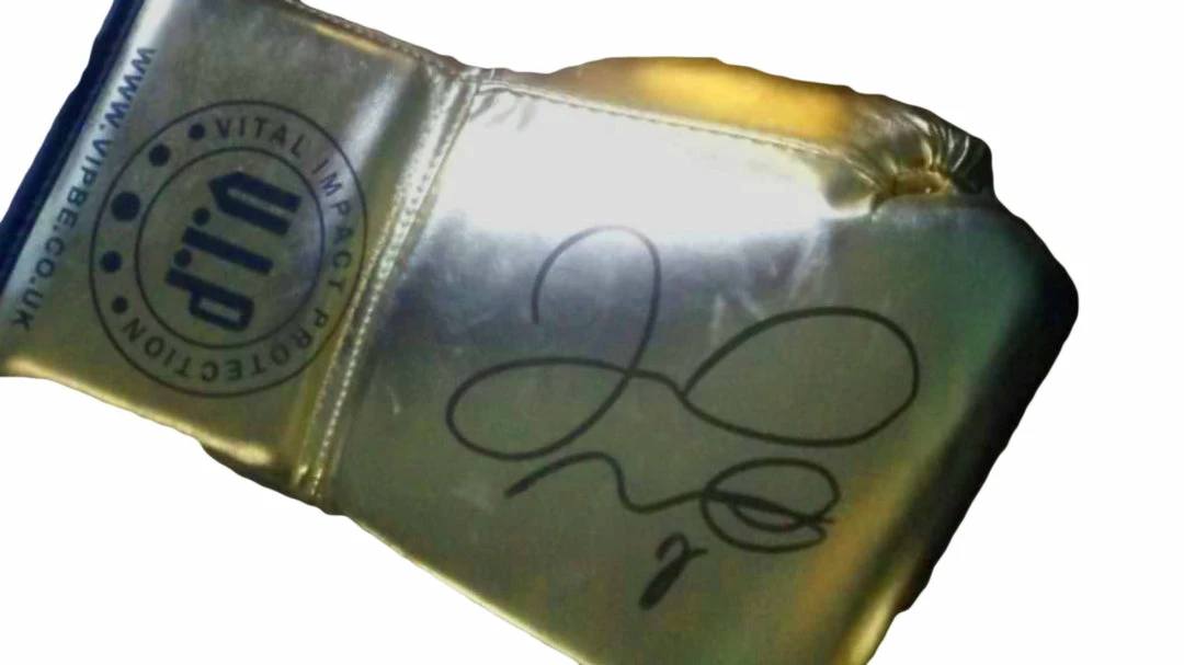 Iconsofboxing.com Floyd Mayweather Jr. VIP Gold Rare Autographed Boxing Gloves With Photo