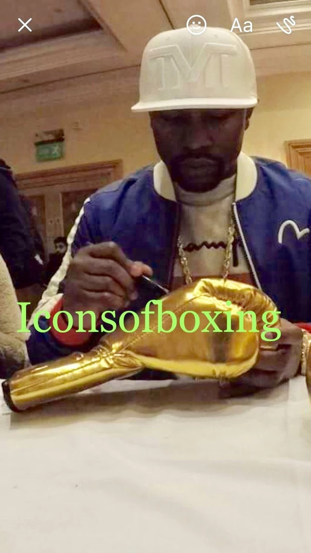 Iconsofboxing.com Floyd Mayweather Jr. VIP Gold Rare Autographed Boxing Gloves With Photo