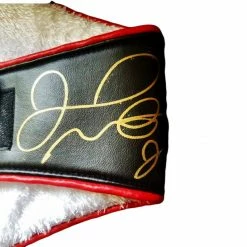 Iconsofboxing.com Floyd Mayweather Jr. Autographed WBA Full Size Championship Boxing Belt, Photo Proof.