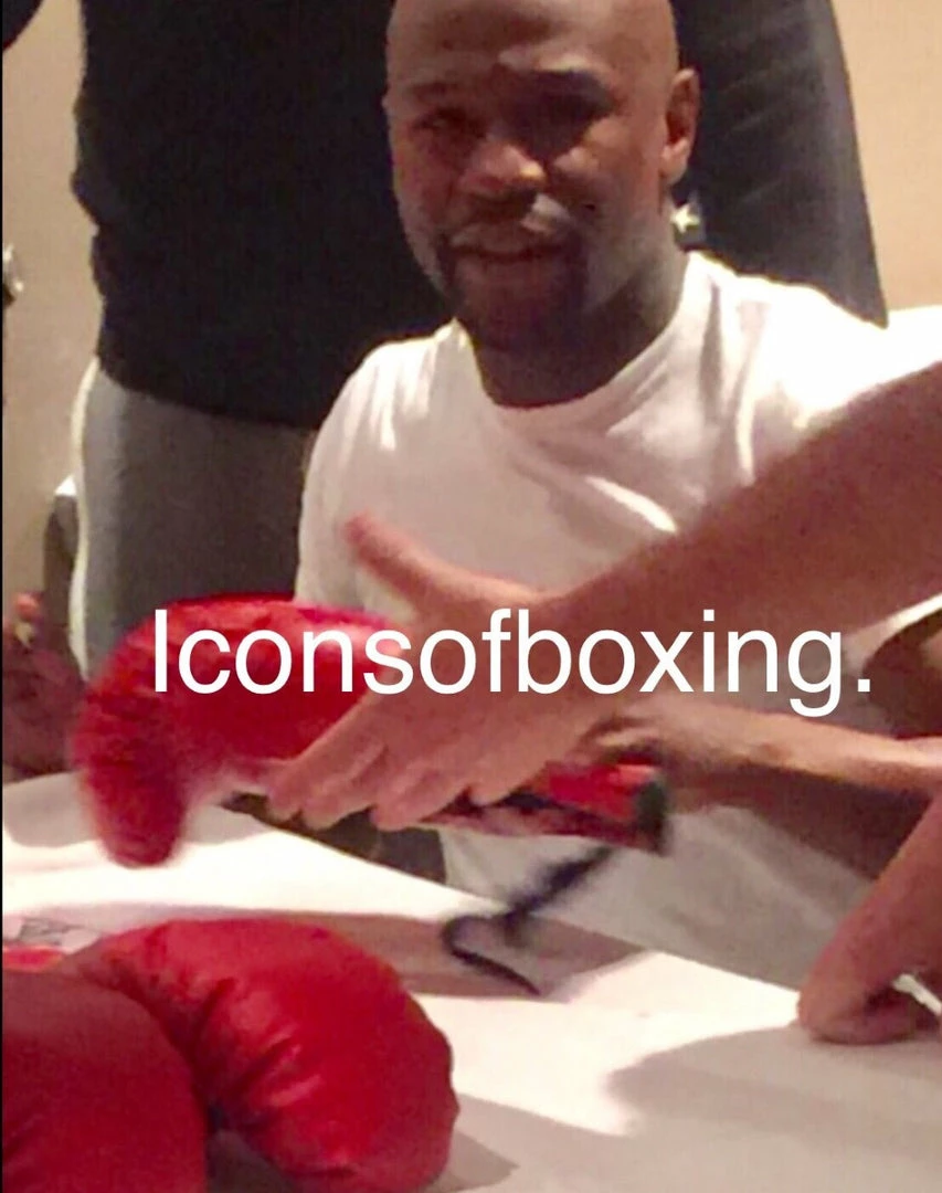 Iconsofboxing.com Floyd Mayweather Jr Signed TMT Custom Boxing Trunks (Beckett COA)