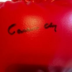 Iconsofboxing.com Cassius Clay Hand-signed Autographed Everlasy Boxing Glove SSG Cert. BOXING MEMORABILIA