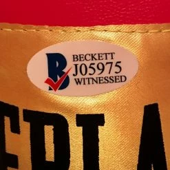 Iconsofboxing.com Autographed Floyd Mayweather Everlast Boxing Glove With Beckett Certification