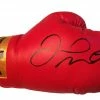 Iconsofboxing.com Autographed Floyd Mayweather Everlast Boxing Glove With Beckett Certification