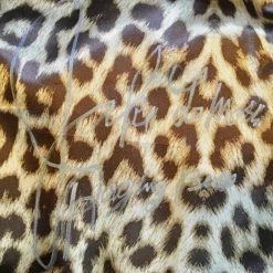 Iconsofboxing.com Autographed Jake LaMotta