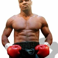 Iconsofboxing.com Autographed Mike Tyson Custom Made Boxing Trunks JSA Certified