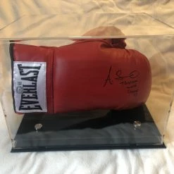 Iconsofboxing.com Amanda Serrano Rare Autographed Signed Everlast Red/BLK Horizontal Boxing Gloves Display. TOP FIGHTERS