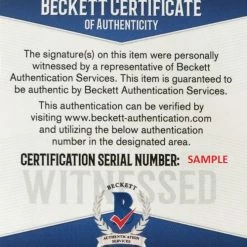 Iconsofboxing.com Floyd Mayweather Jr Signed TBE Custom Boxing Trunks (Beckett COA)