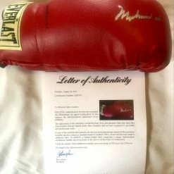 Iconsofboxing.com BOXING MEMORABILIA Muhammad Ali Silver Autographed Everlast Old Vintage Boxing Gloves, PSA
