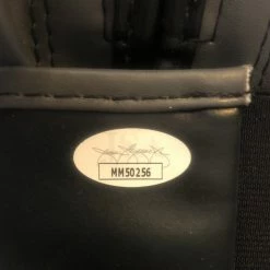 Iconsofboxing.com Ryan Garcia Signed Autographed